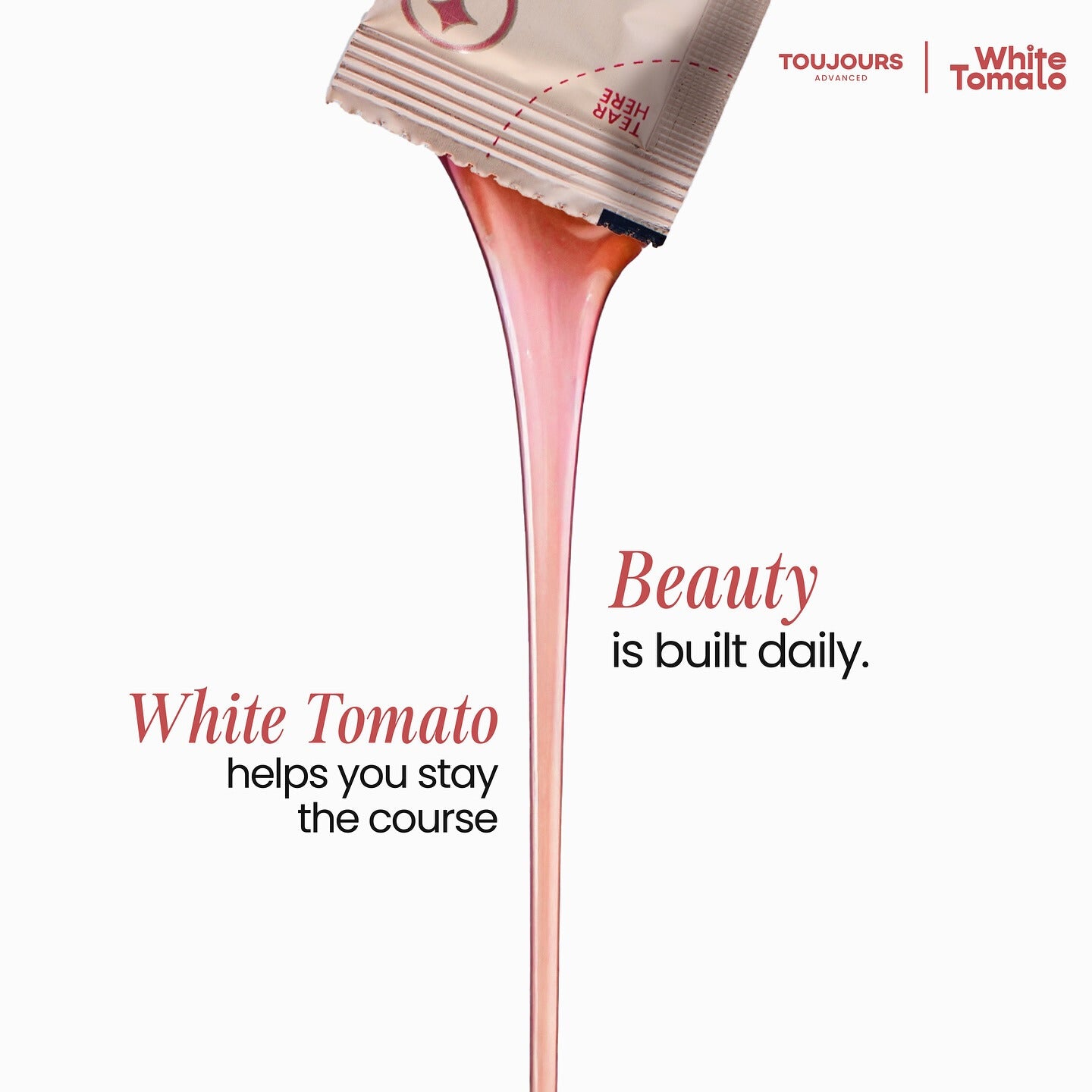 Toujours White Tomato