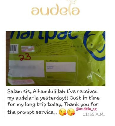 Received Audela for my long trip