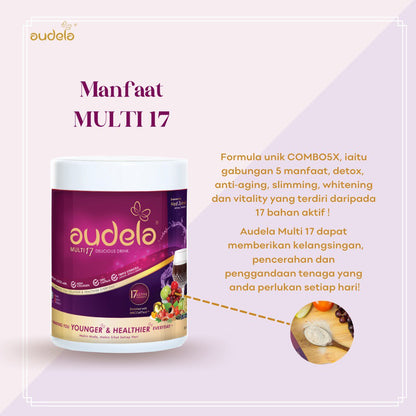 Audela Multi 17