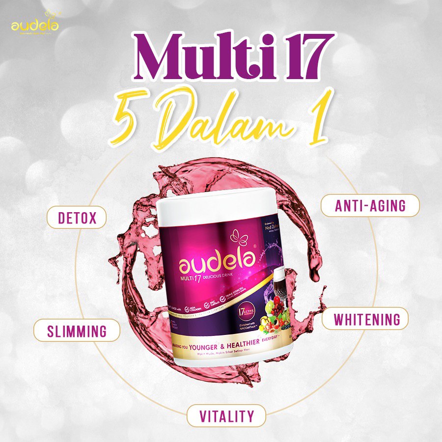 Audela Multi 17