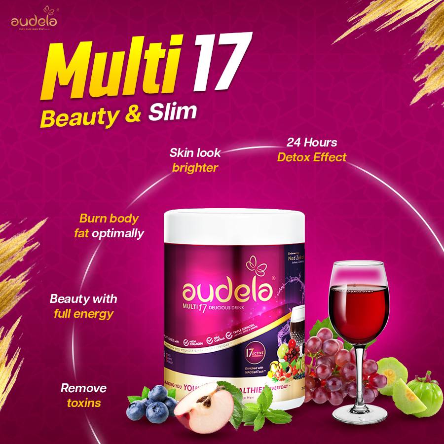 Audela Multi 17