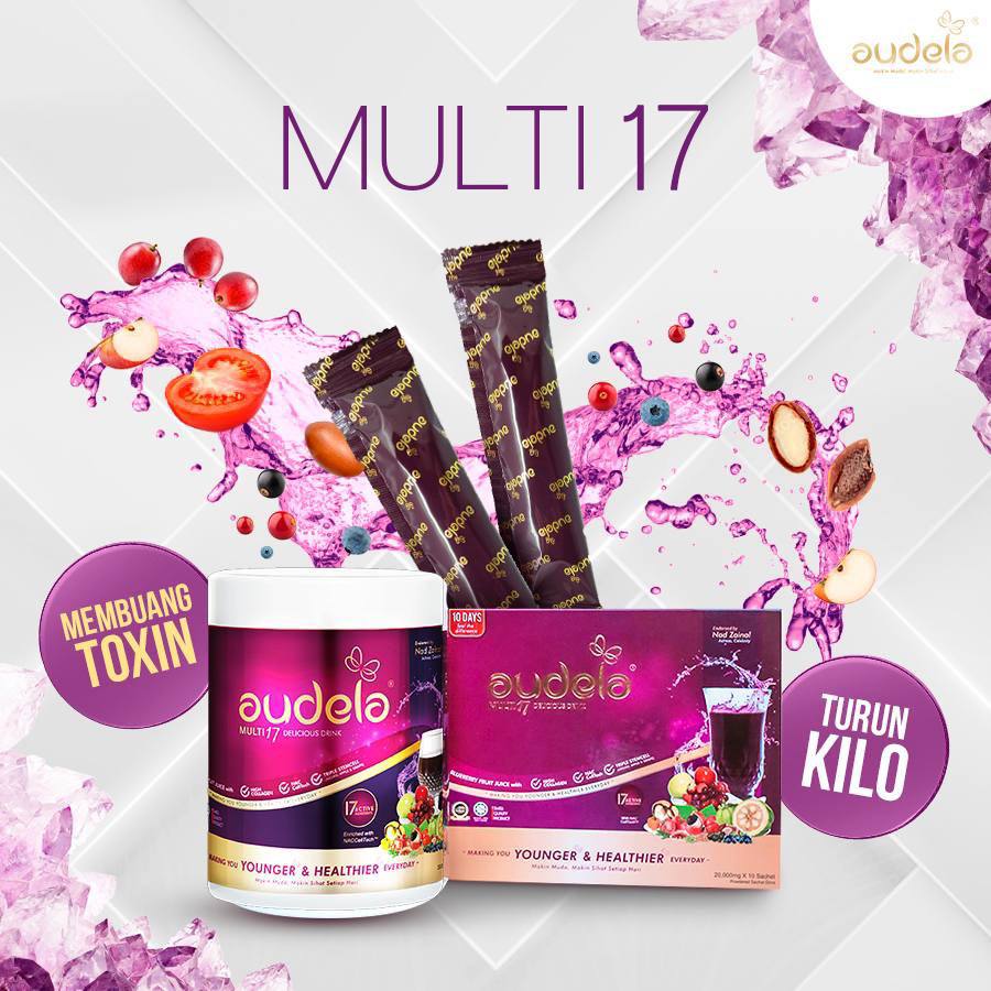Audela Multi 17