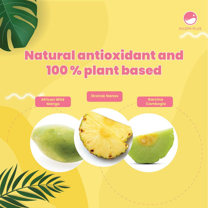 Nilofa Plus Drintox